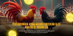 Mengenal Tipe Ayam Bangkok dalam Sabung Ayam SV388